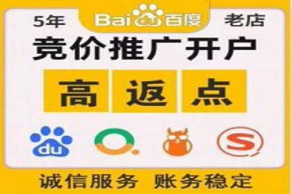竞价开户优势解析：成功案例对比